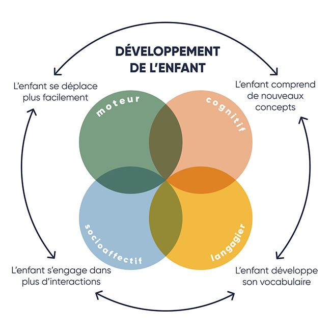 Schéma du développement de l'enfant